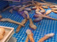 -驻海渔市(置信店)