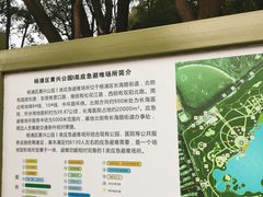 -黄兴公园