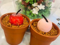 -哈根达斯(青岛海信店)