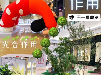 宁波五一必看的免费展览|下腰女孩太可爱了