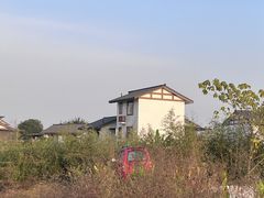 -空港花田景区