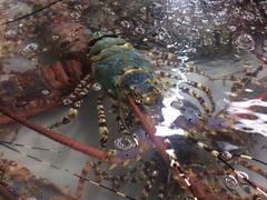 -班赞海鲜市场
