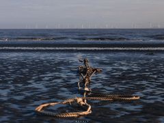 -南汇新城海滩