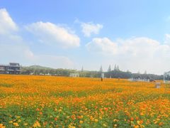 -东钱湖旅游度假区