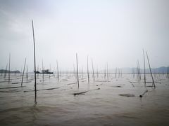 -北岐滩涂