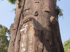 -青青世界