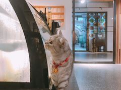 -金谷里艺术馆