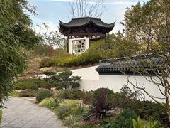 -和平公园