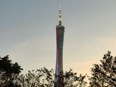 -广州塔晖粤轩中餐厅