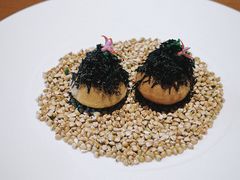 -觀芷隐轩