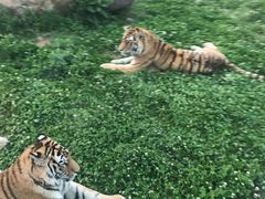 -西安秦岭野生动物园