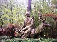 -溱湖国家湿地公园