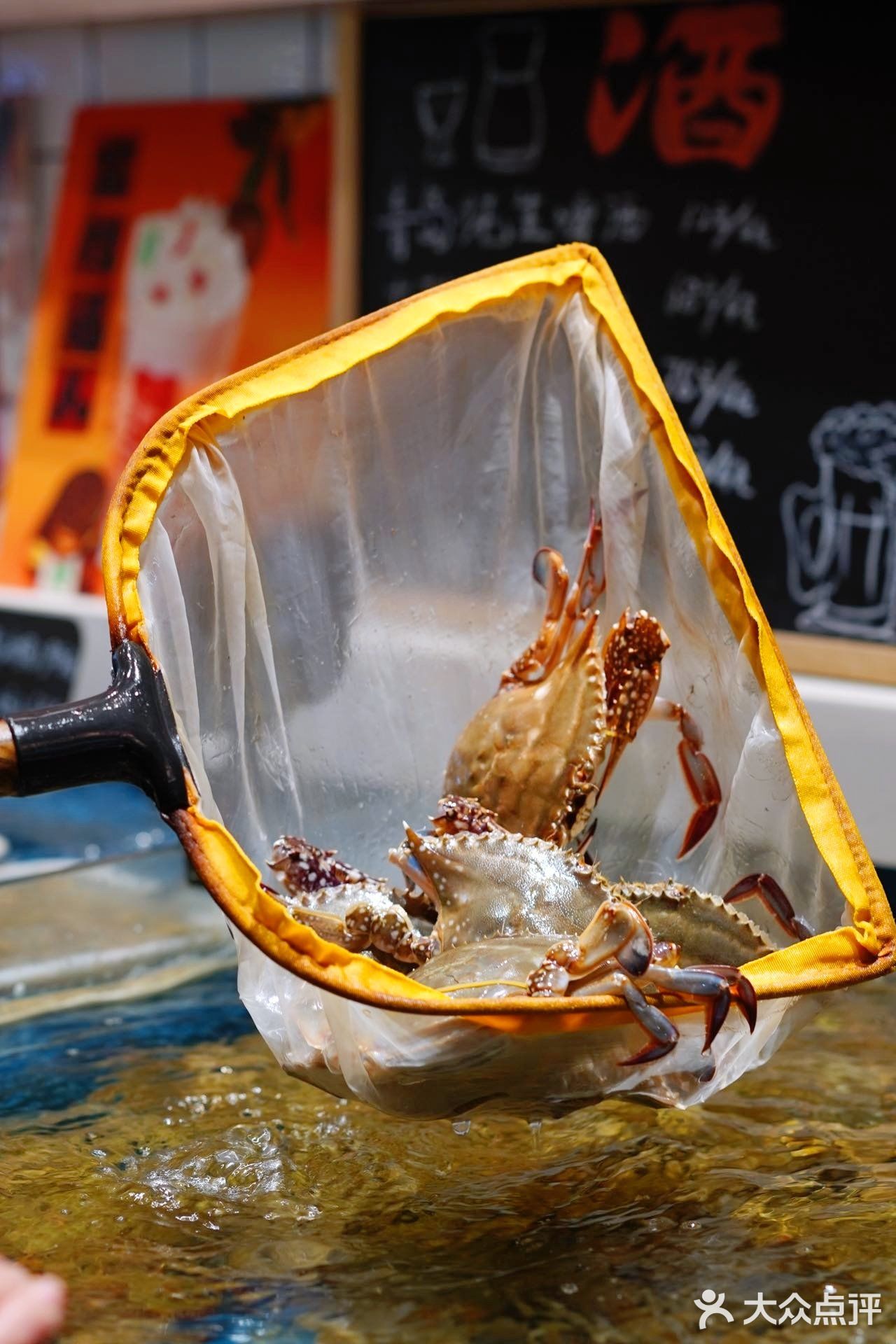 魔都探店｜上海我最爱吃的海鲜🦞大排挡好吃到哭😭