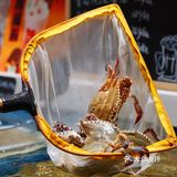 魔都探店｜上海我最爱吃的海鲜🦞大排挡好吃到哭😭
