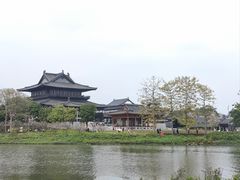 -海珠湖公园