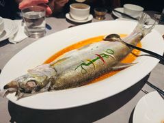 清蒸白水鱼-醉庐·新上海菜(南京西路店)