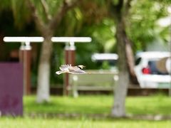 -白沙门生态公园