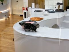 -COLOR PETS 撸猫馆·购猫·猫咖(长风大悦城店)