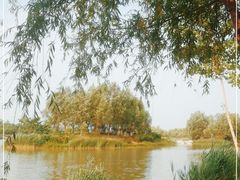-马家湾湿地公园