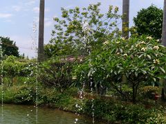 -花溪雨·森林餐厅(石基店)