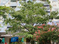 -星巴克(深圳侨城街店)