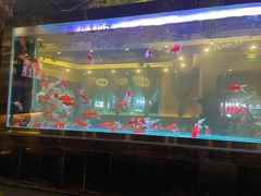 -阳光院坝小龙虾(红牌楼店)