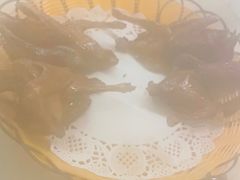 -百利鸽王(紫薇路店)