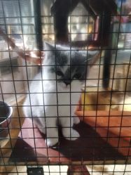 -酷嗒动物文化乐园(cutezoo西溪乐天城店)