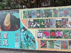 -华南国家植物园-售票处