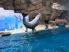 -杭州长乔极地海洋公园