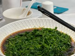 -圆苑(静安寺店)