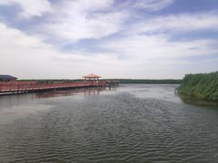 -乌梁素海景区