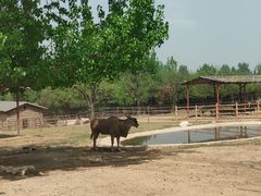 -西安秦岭野生动物园
