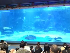 -石家庄海洋公园
