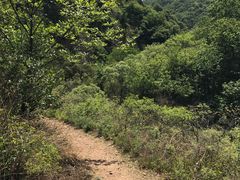 -仙居谷风景区