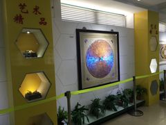 蝴蝶翅膀画-上海昆虫博物馆