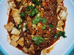 -煲来饱去冷水鱼