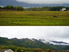 -塔川景区