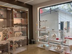 -翊宠yipet猫狗购宠庄园犬舍•猫舍
