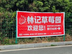 -光明小镇欢乐田园