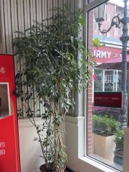 -爱儿美儿童摄影(五路居花园别墅店)