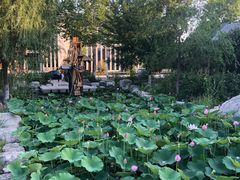 -万源龙顺度假庄园生态观光园