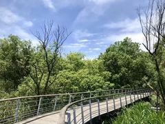 -西湖风景区-江洋畈生态公园