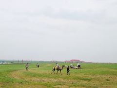 -呼伦贝尔大草原巴尔虎蒙古部落民俗旅游度假景区