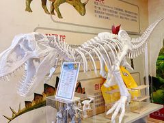 -布吉佳兆业广场