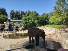 -北京野生动物园