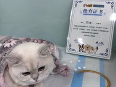 -达爱动物医院·犬猫分区·CT·复杂眼科(远洋山水分院)