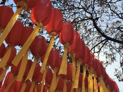 -护国法轮寺