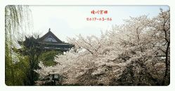 -晴川假日酒店·宴会厅·会议厅