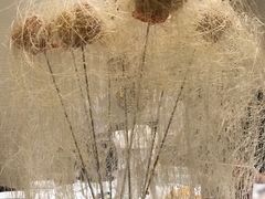 -民福居烤鸭店(石榴庄店)